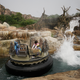 Image for article titled Here's What Shanghai Disneyland Looked Like on Its First Day of Reopening